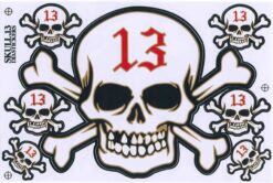 Doodshoofd Skull 13 stickervel