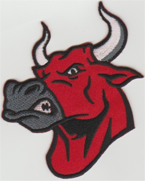 Taureau Taureau Applique Fer Sur Patch