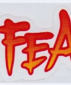 No Fear Sticker