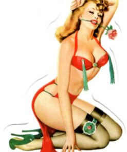 Sticker Pin Up Girl