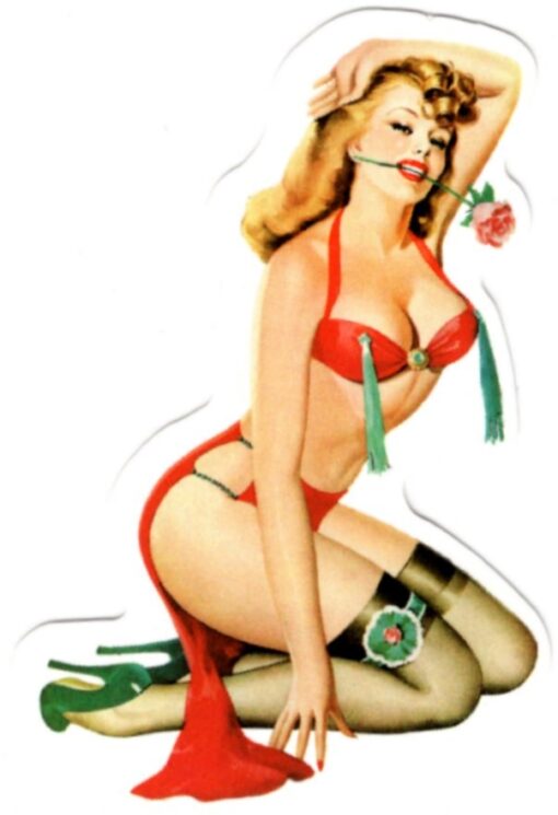 Pin Up Girl sticker