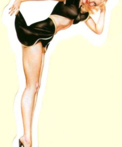 Sticker Pin Up Girl