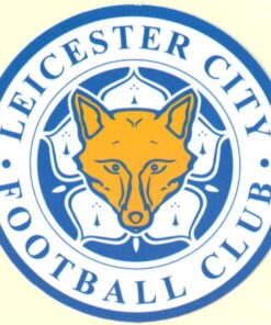 Leicester City FC sticker