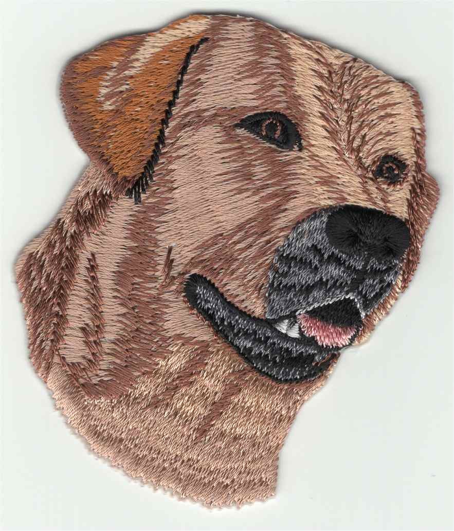 Thermocollant tissu Labrador retriever