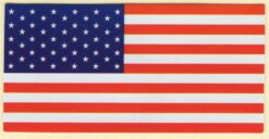 USA vlag sticker