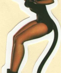 Pin Up Girl sticker