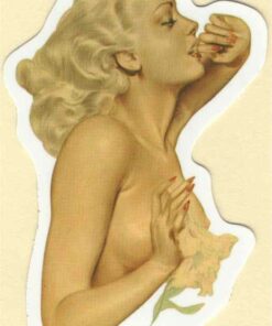 Sticker Pin Up Girl