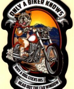 Only a biker knows why sticker