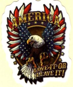 America Love it or leave it sticker