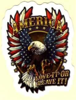 America Love it or leave it sticker