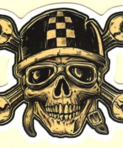 Skull sticker