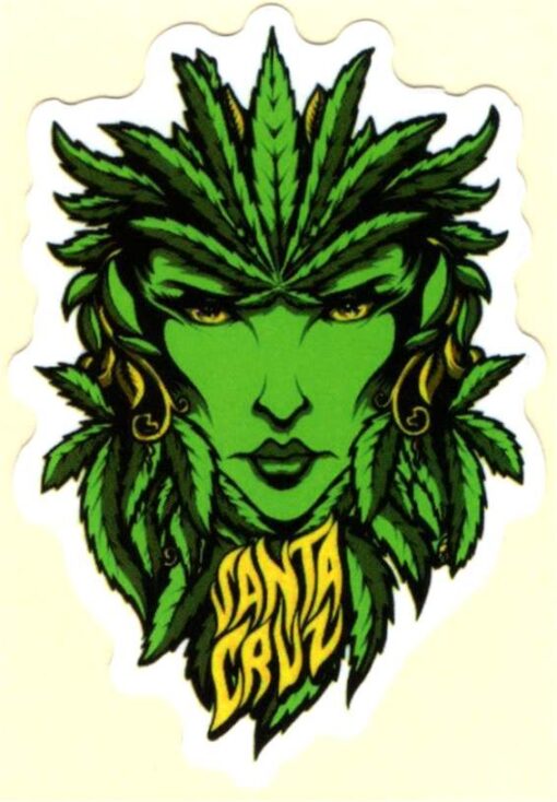 Santa Cruz sticker