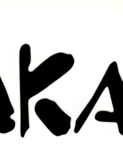 Dakar sticker