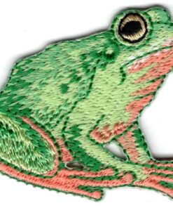 Grenouille Applique Fer Sur Patch